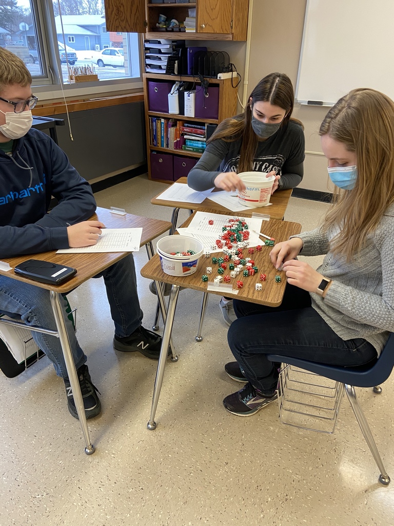 Students sorting dice