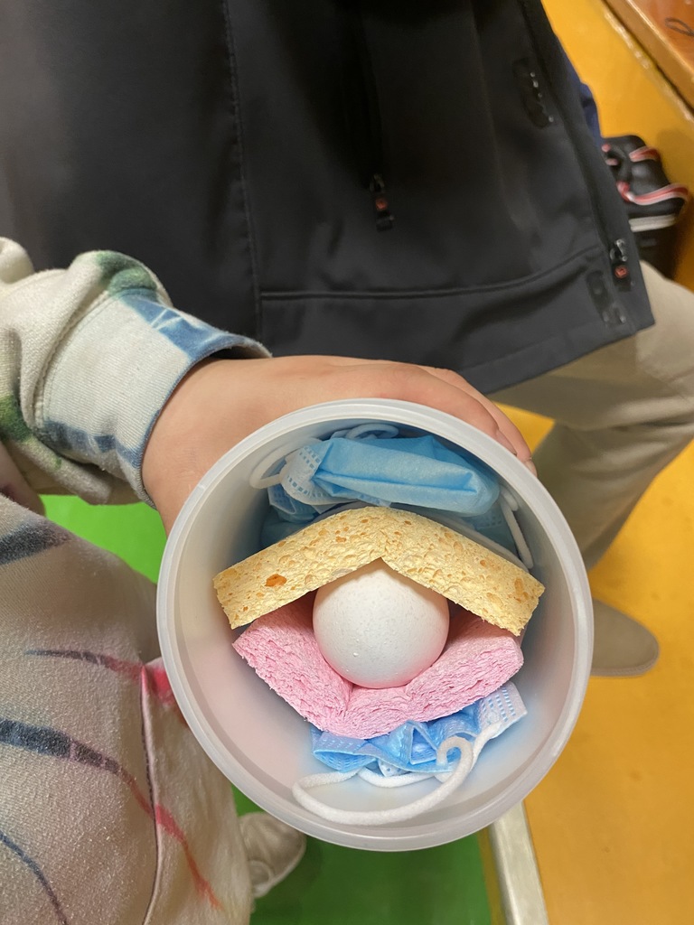 Egg drop for FFA week !