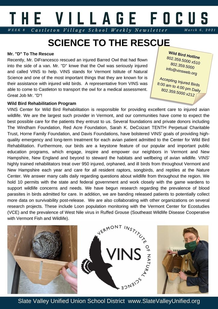 The Village Focus