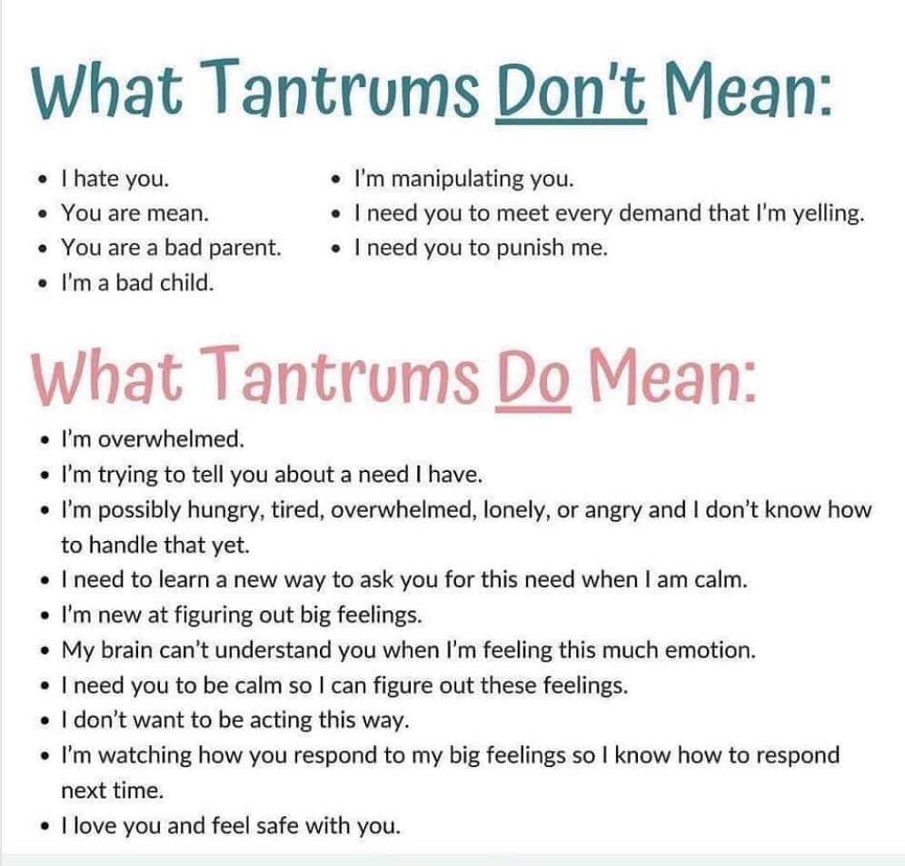 temper tantrums vs. meltdowns