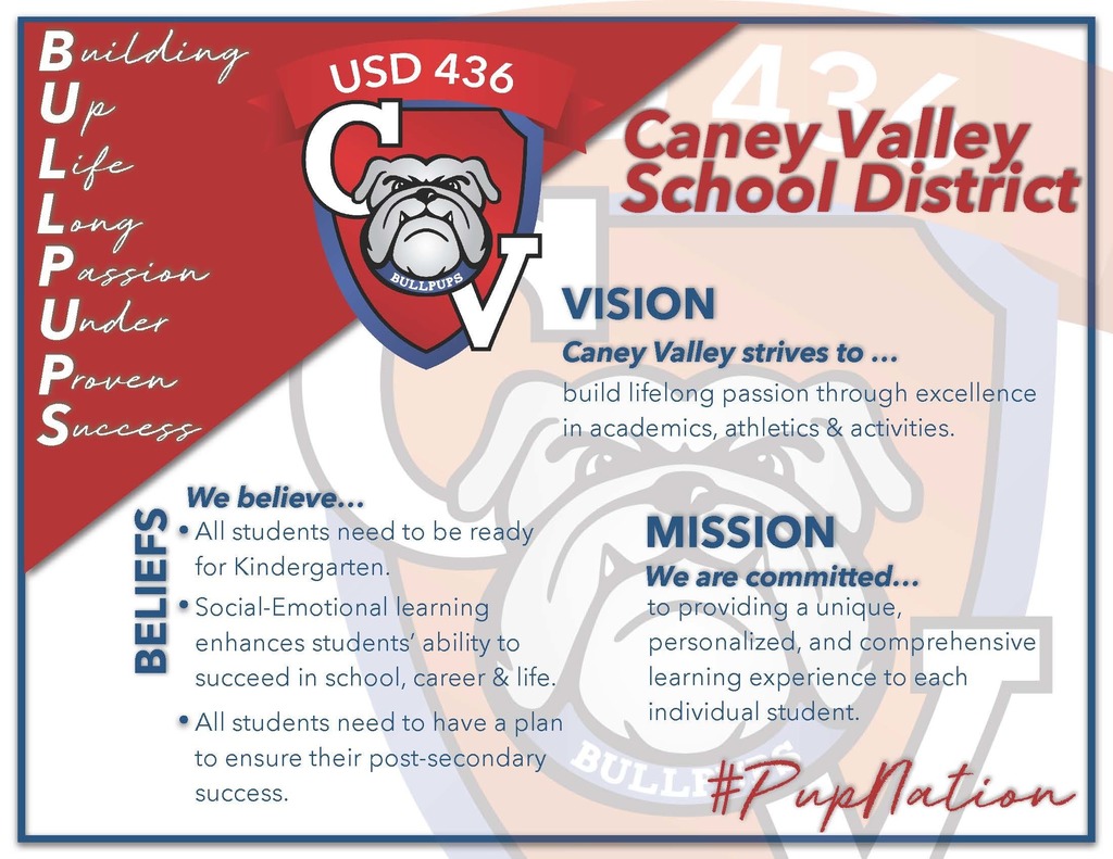 Vision Mission Belief