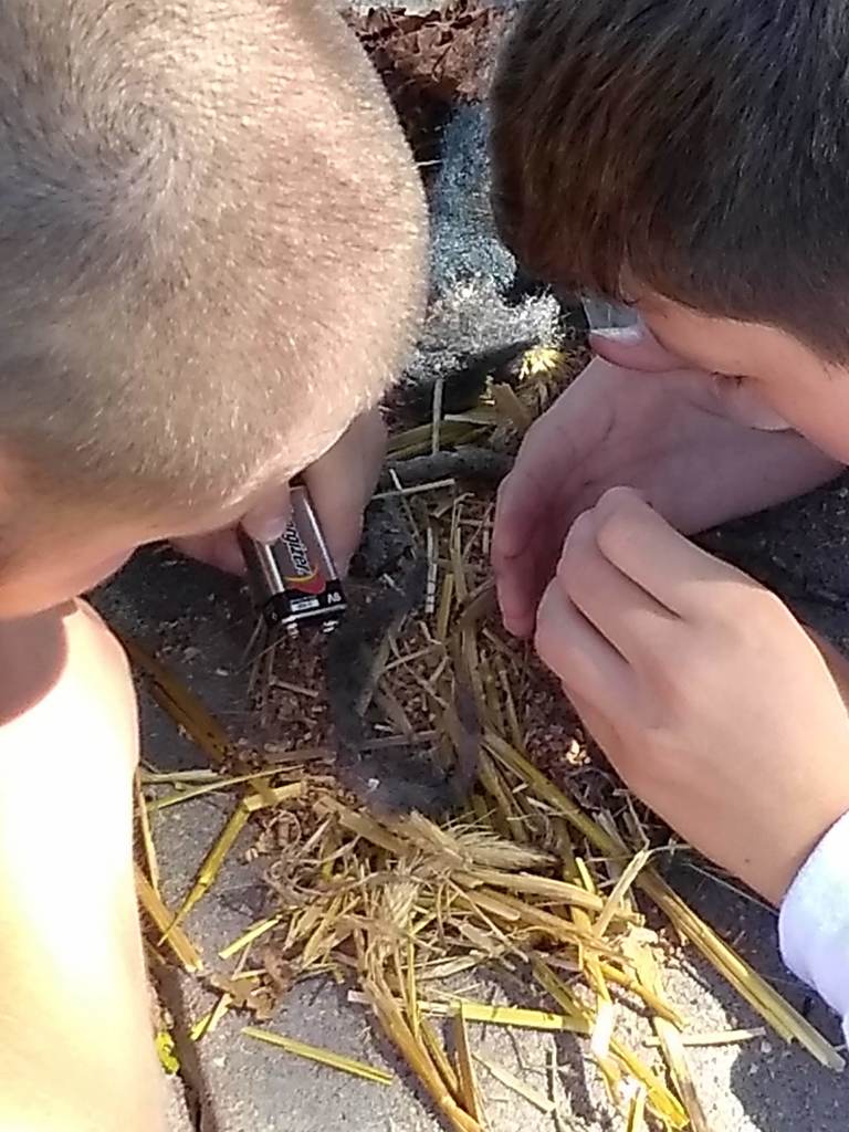 Outdoor Club students make a small survival fire