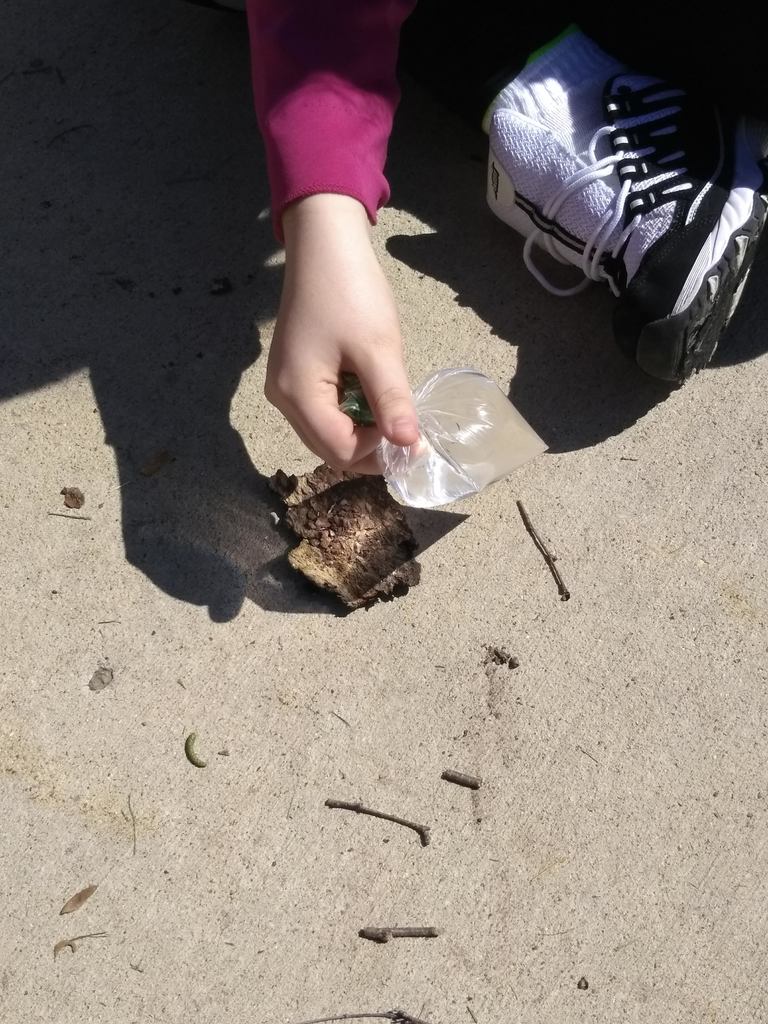 Outdoor Club students make a small survival fire