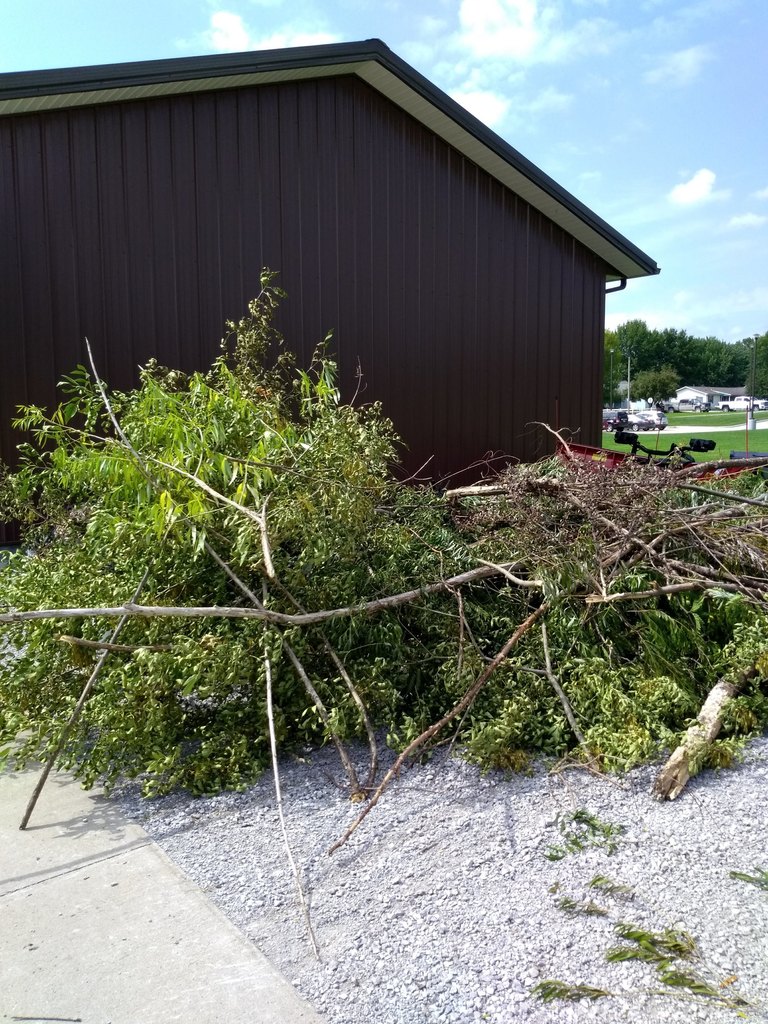 Outdoor club members pick up limbs and debris from a recent storm
