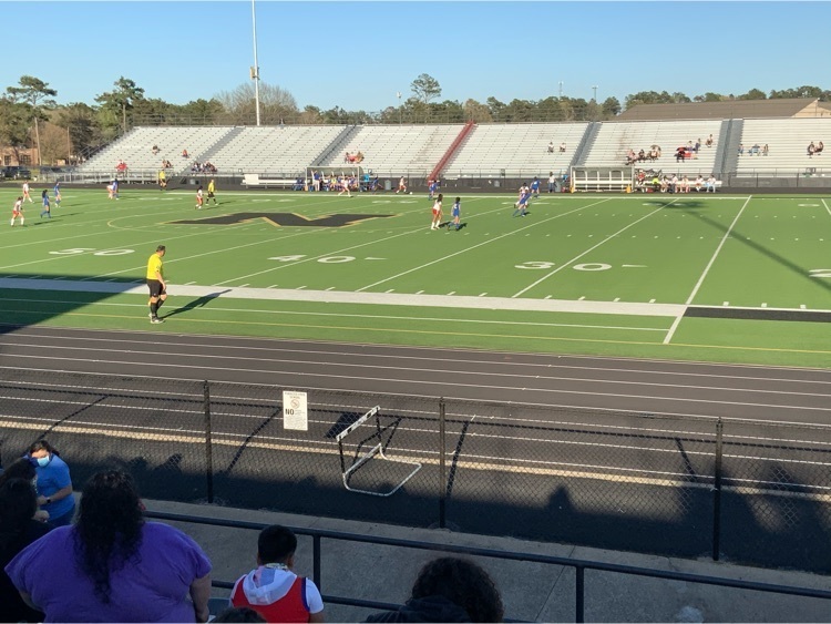 Girls volleyball playoffs