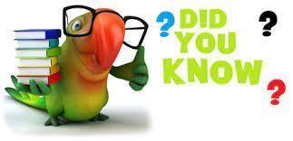 Did you know?