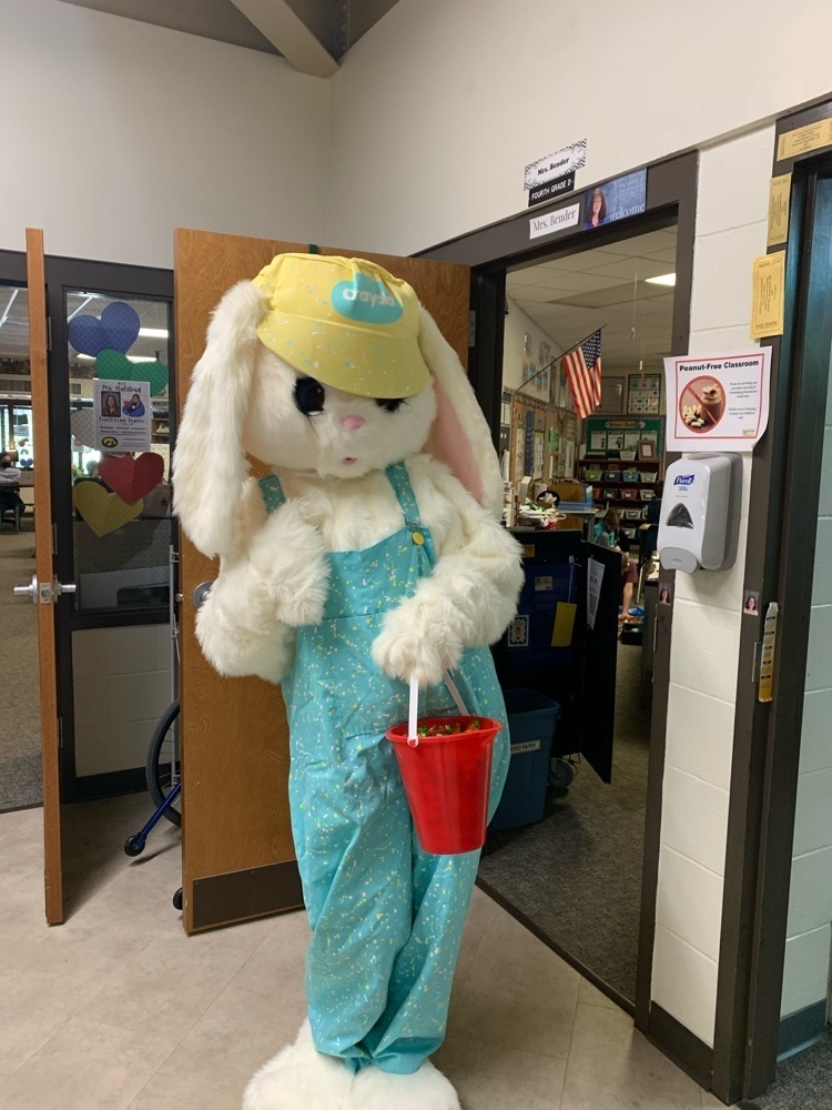 Bunny