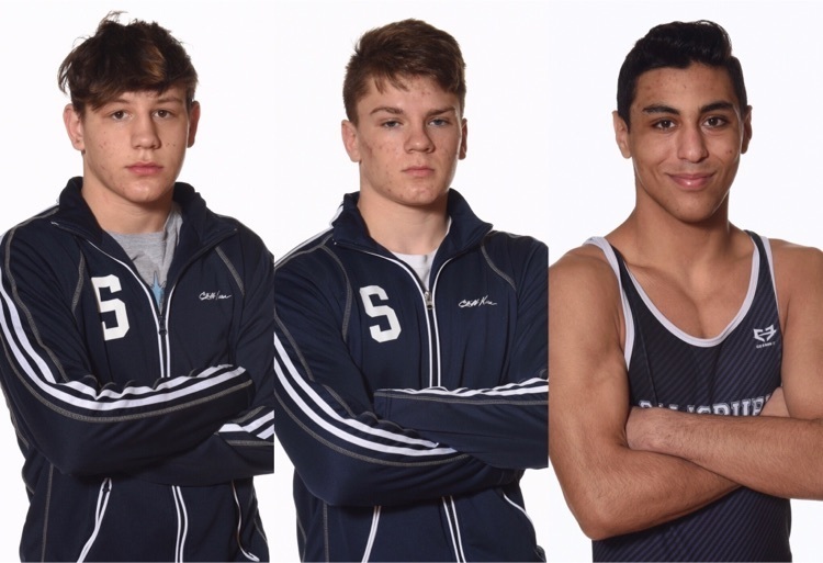wrestling