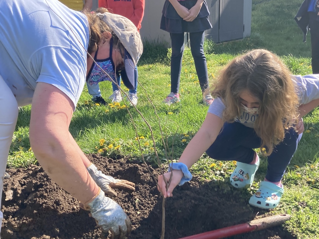 Woodsdale Students Planting a Tree