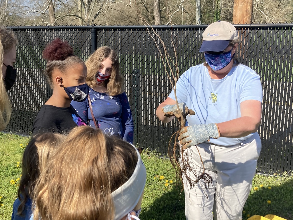 Woodsdale Students Planting a Tree