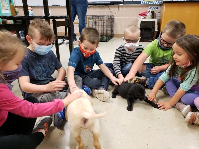 Puppies
