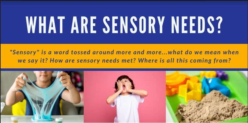 What are Sensory Needs