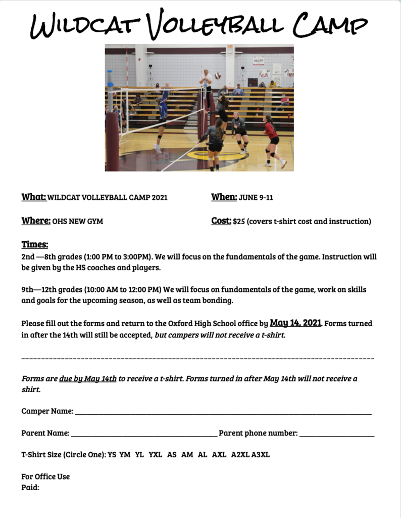 Wildcat Volleyball Camp