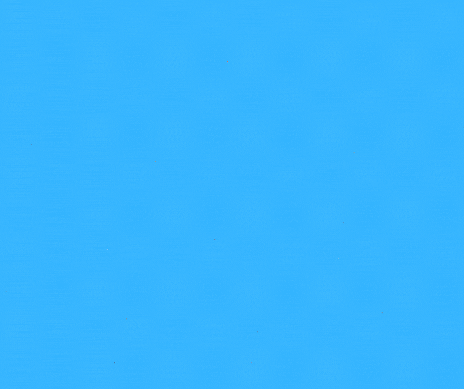 Teachers of the Year