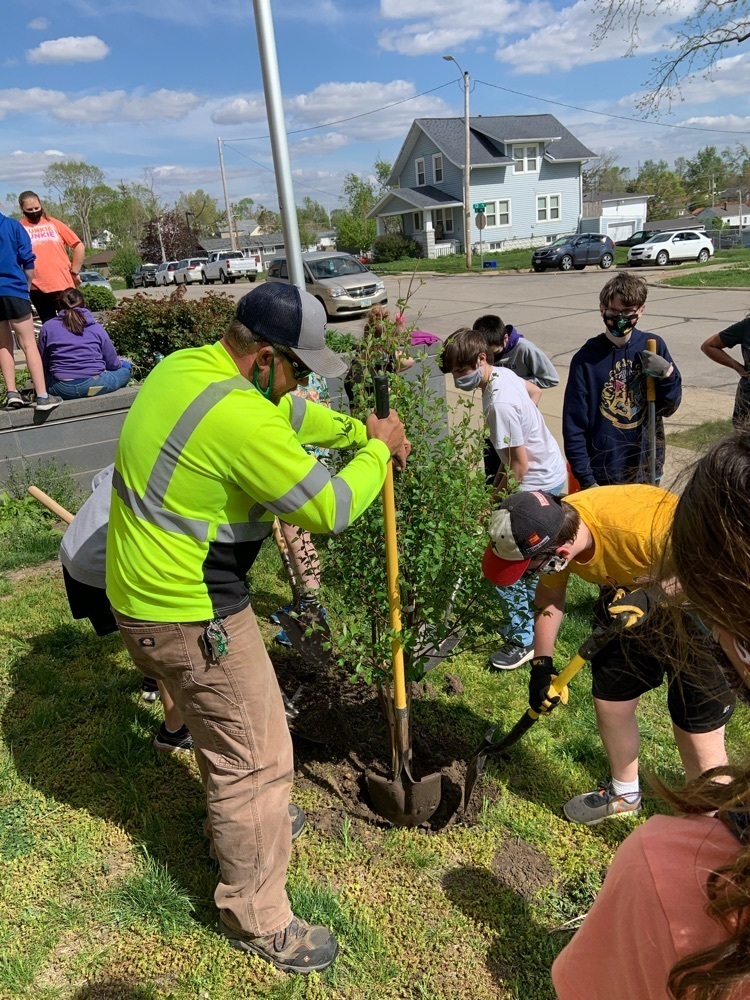 vms tree planting2