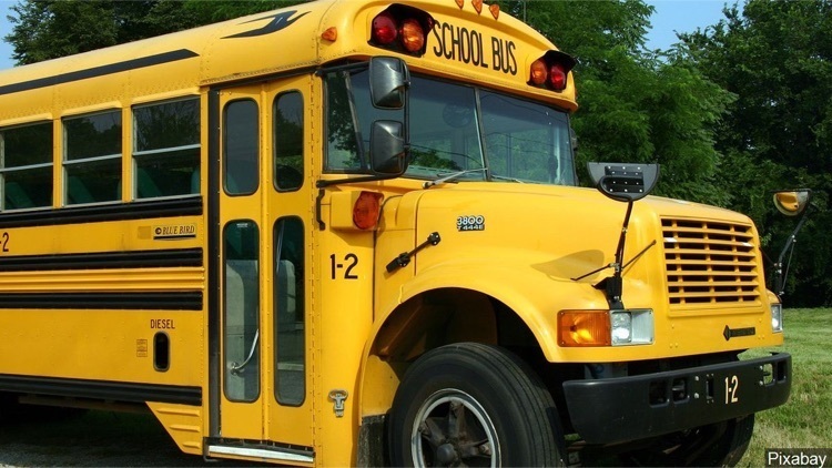 bus