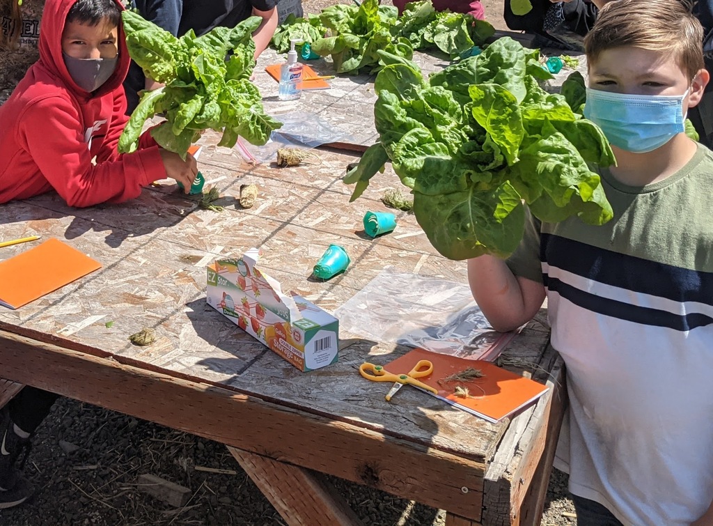 Fruits of our labor!