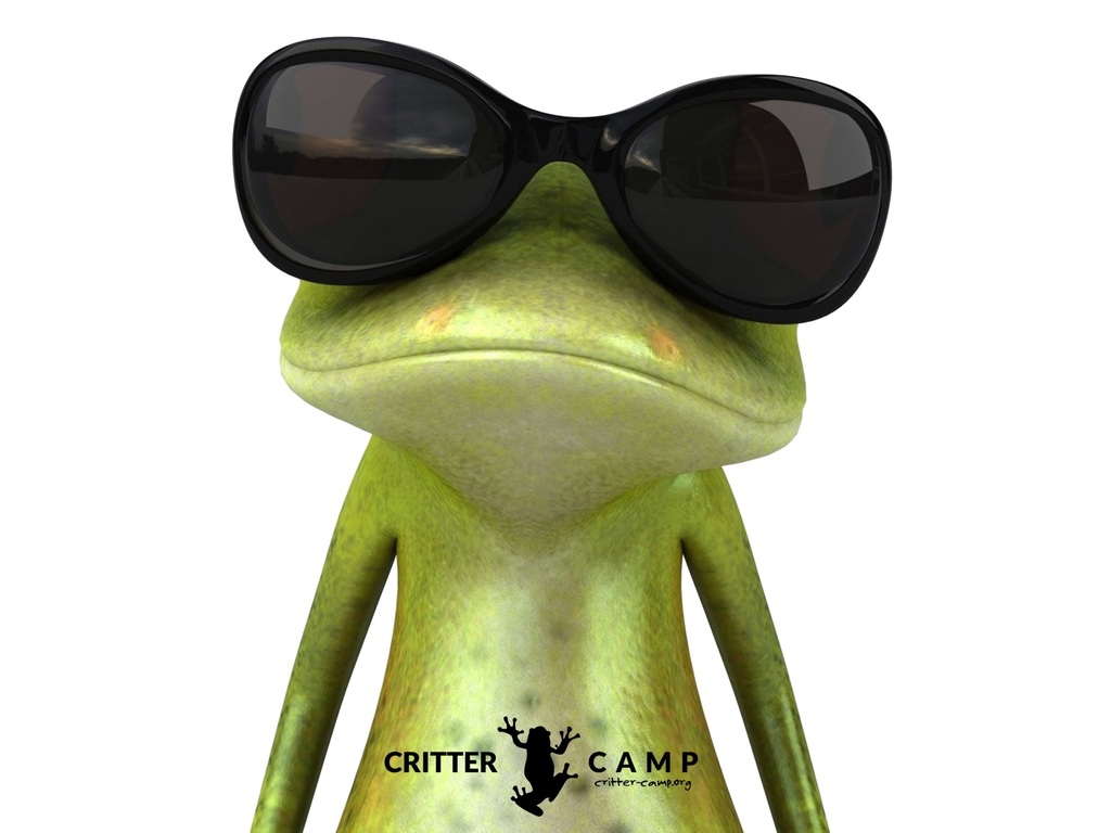 frog with glasses