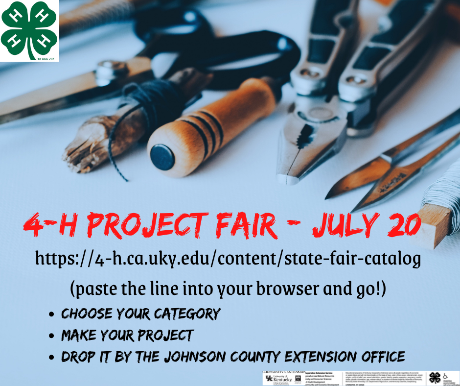 4-H Project Fair