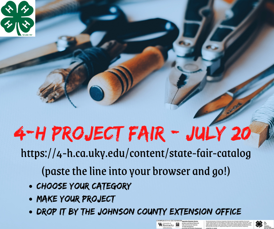 4-H Project Fair 