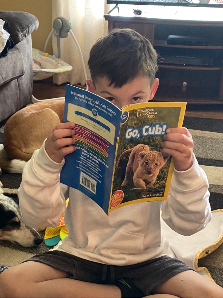 Reading