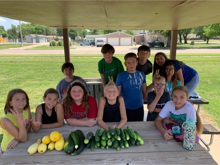 5-7 and their crop from the community garden! Just a day of picking.