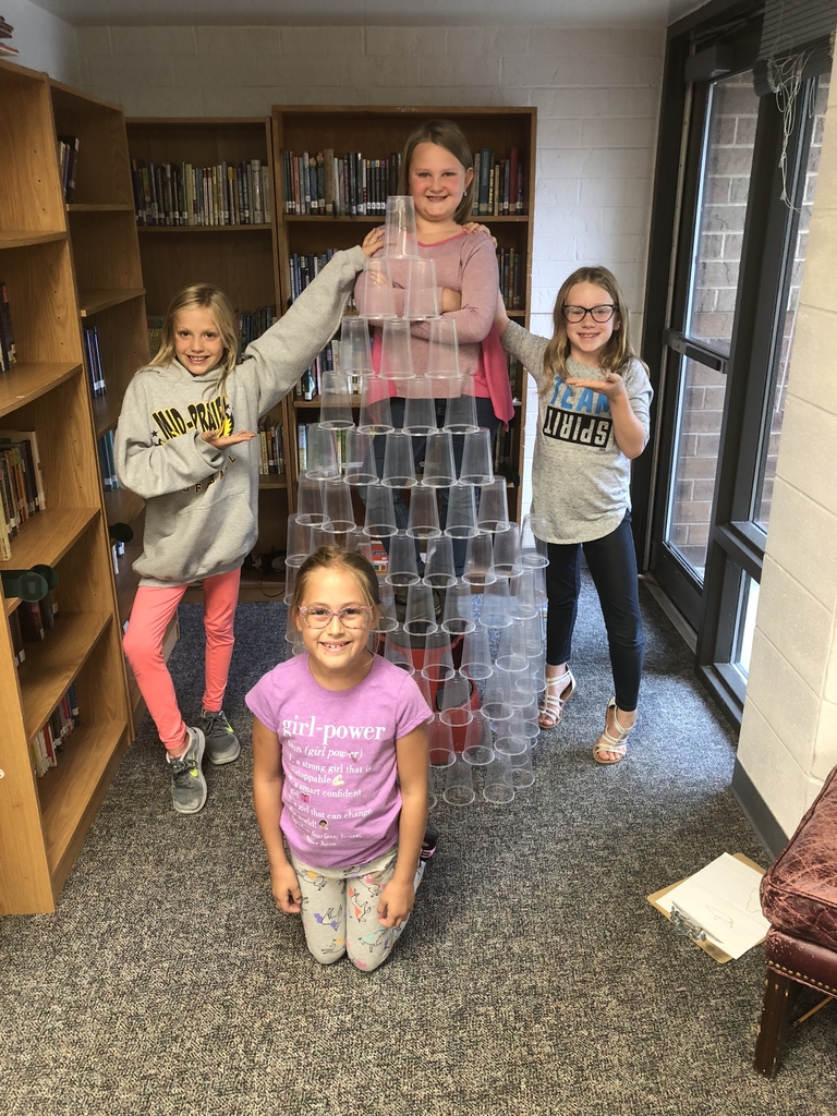 3E STEM activity
