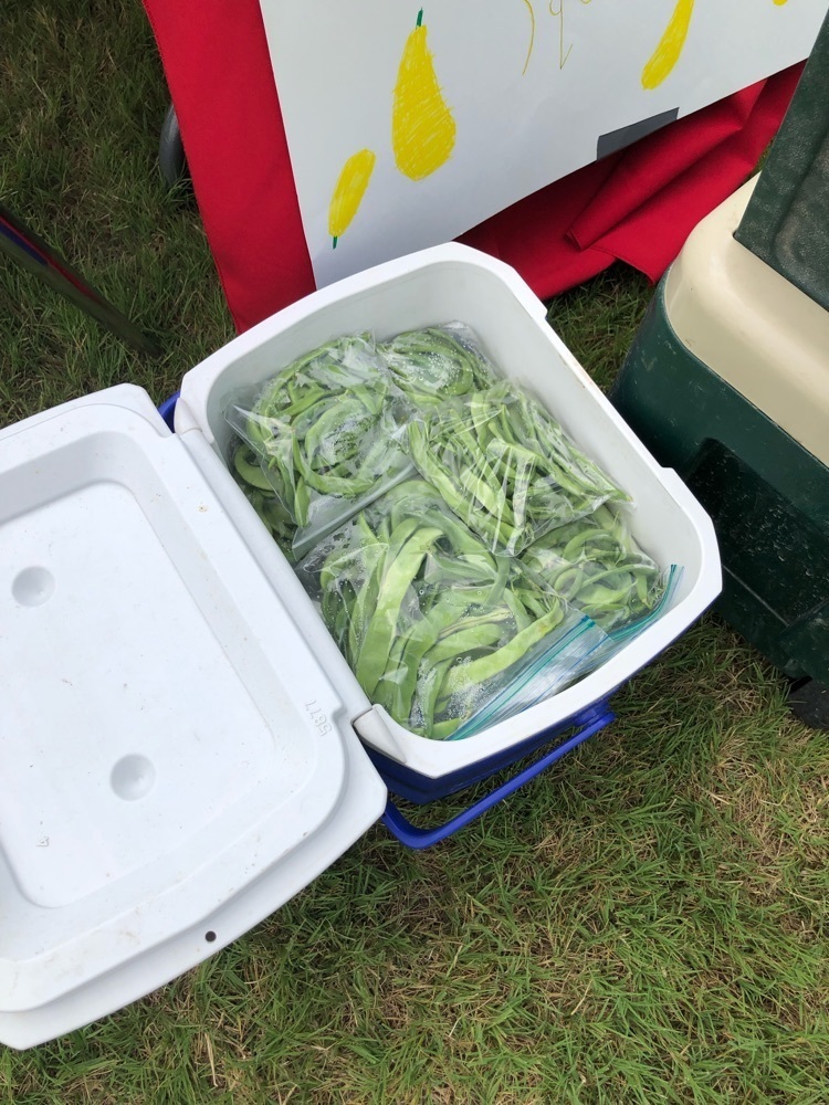 green beans