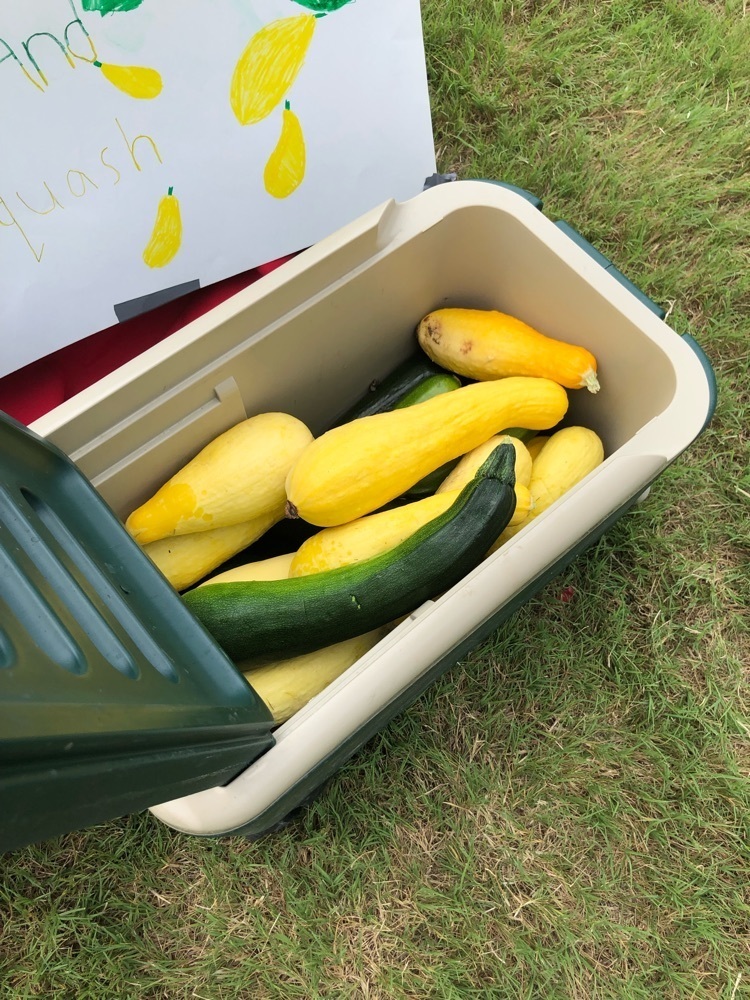 squash
