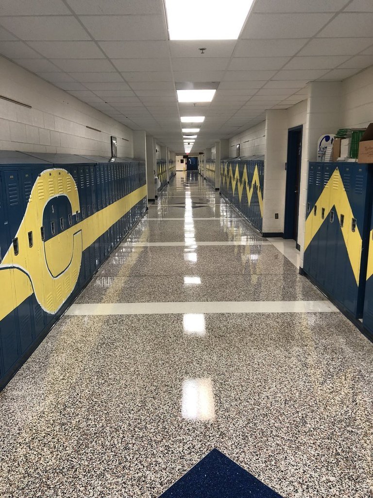 Shining Floors