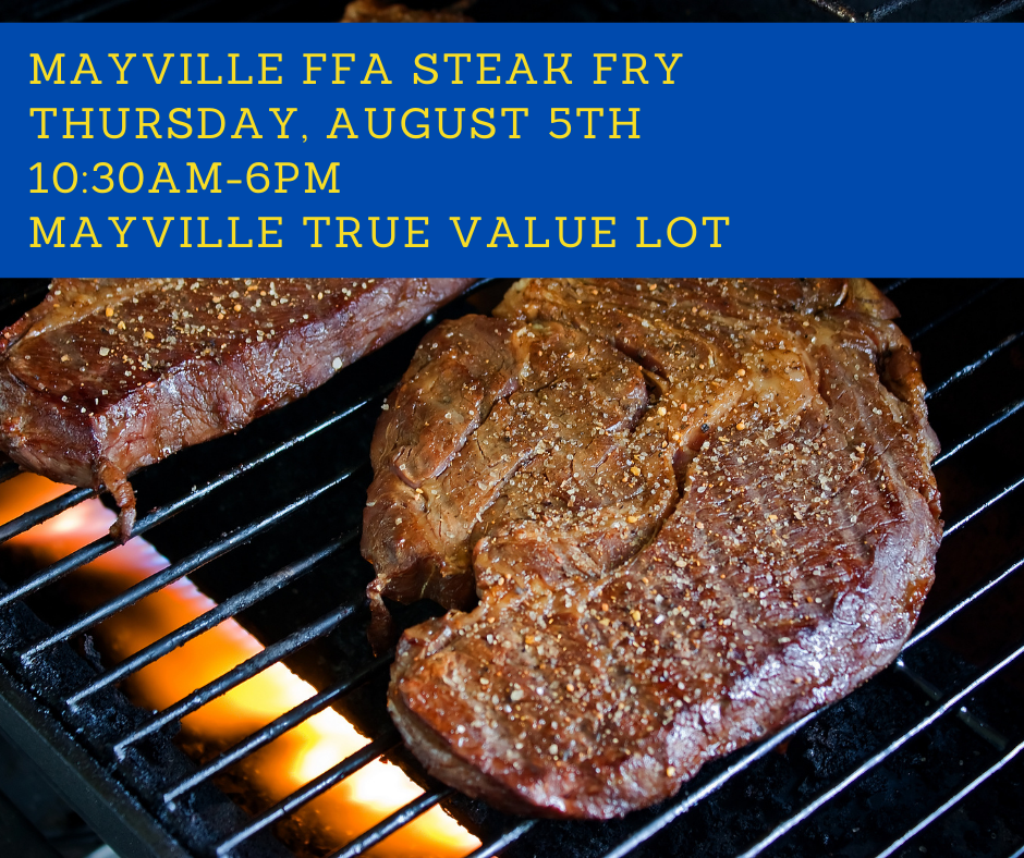 FFA Steak Fry