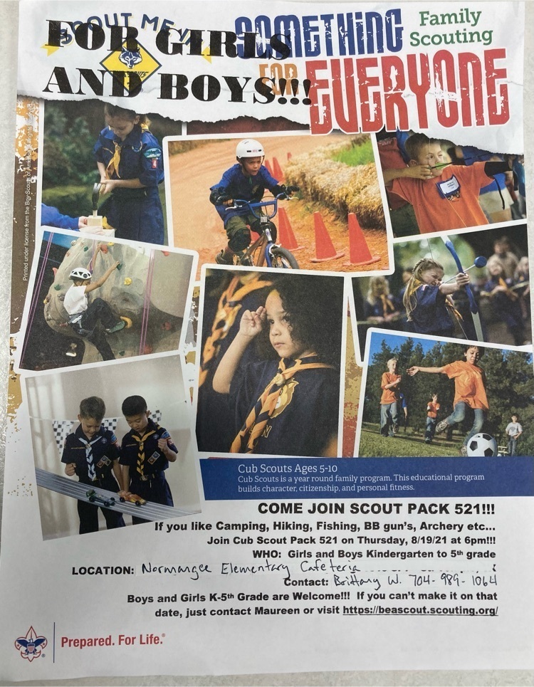 scouts flyer