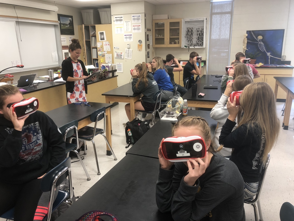 Touring the heart and circulatory system. 