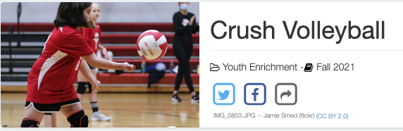 Crush Volleyball