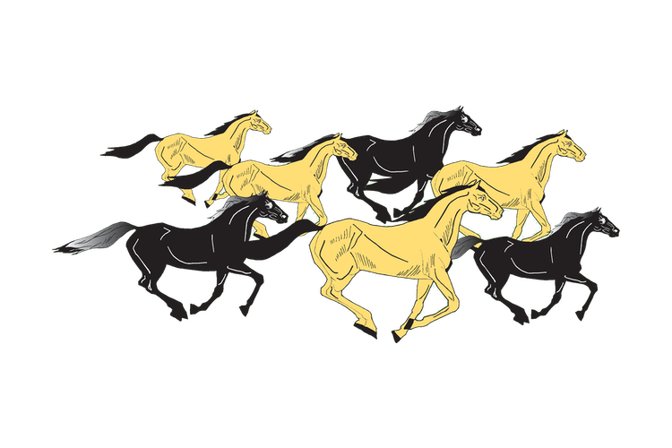 mustangs