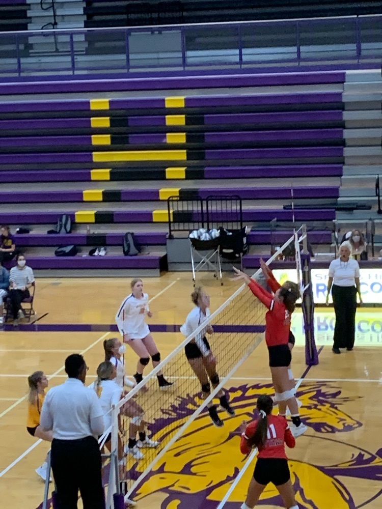 girls playing volleyball 