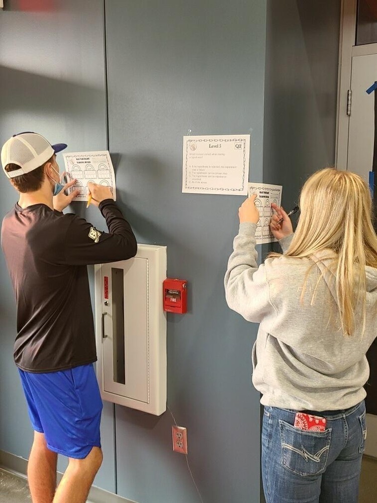 students working 