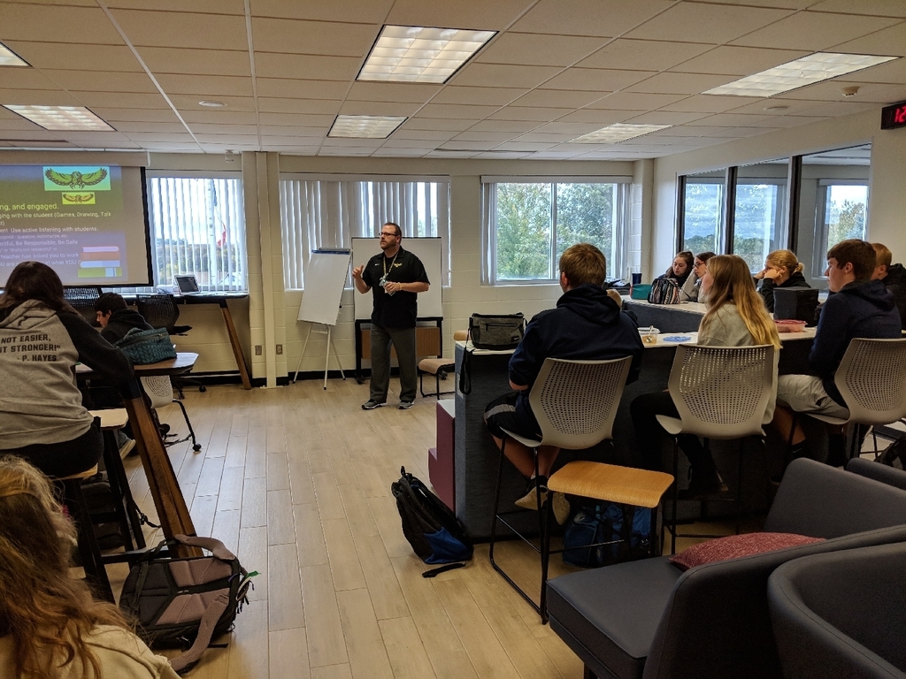 BHLH mentoring training