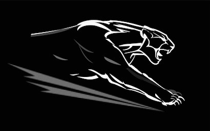 Panthers 2021