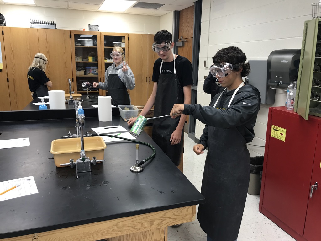 students performing chemistry experiment