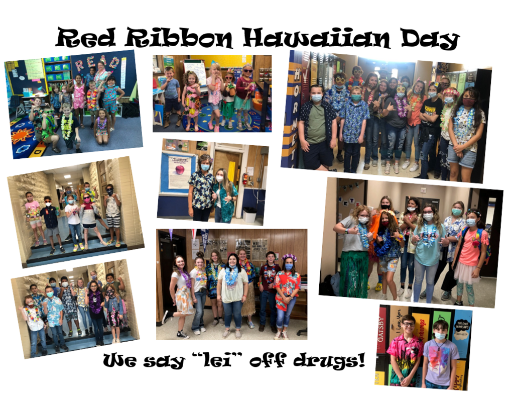 Red Ribbon Hawaiian Day