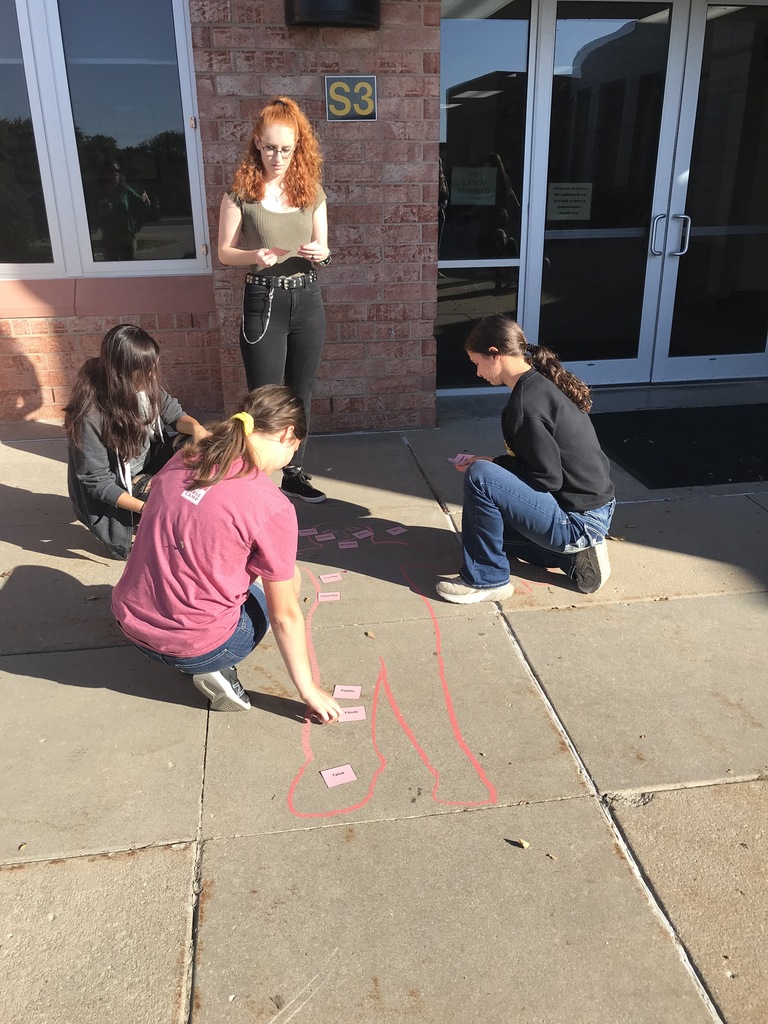 students labeling body tracing