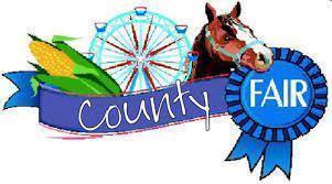 county fair