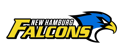 Falcons Image