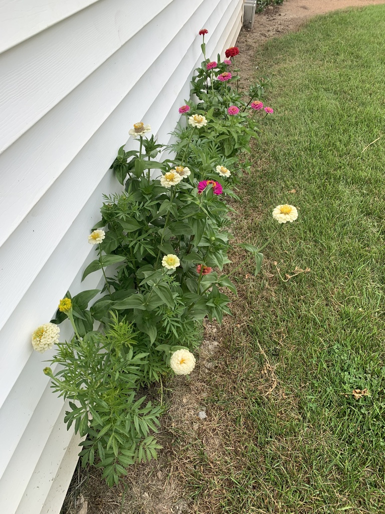 The side of the equipment shed