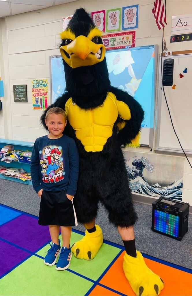 #mphawks
