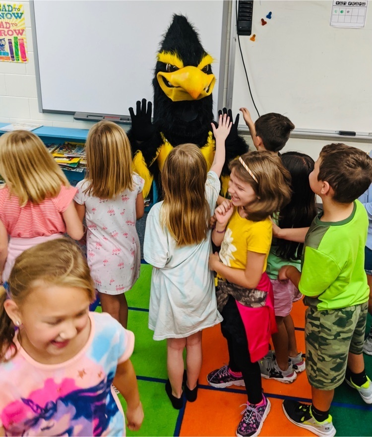 #mphawks