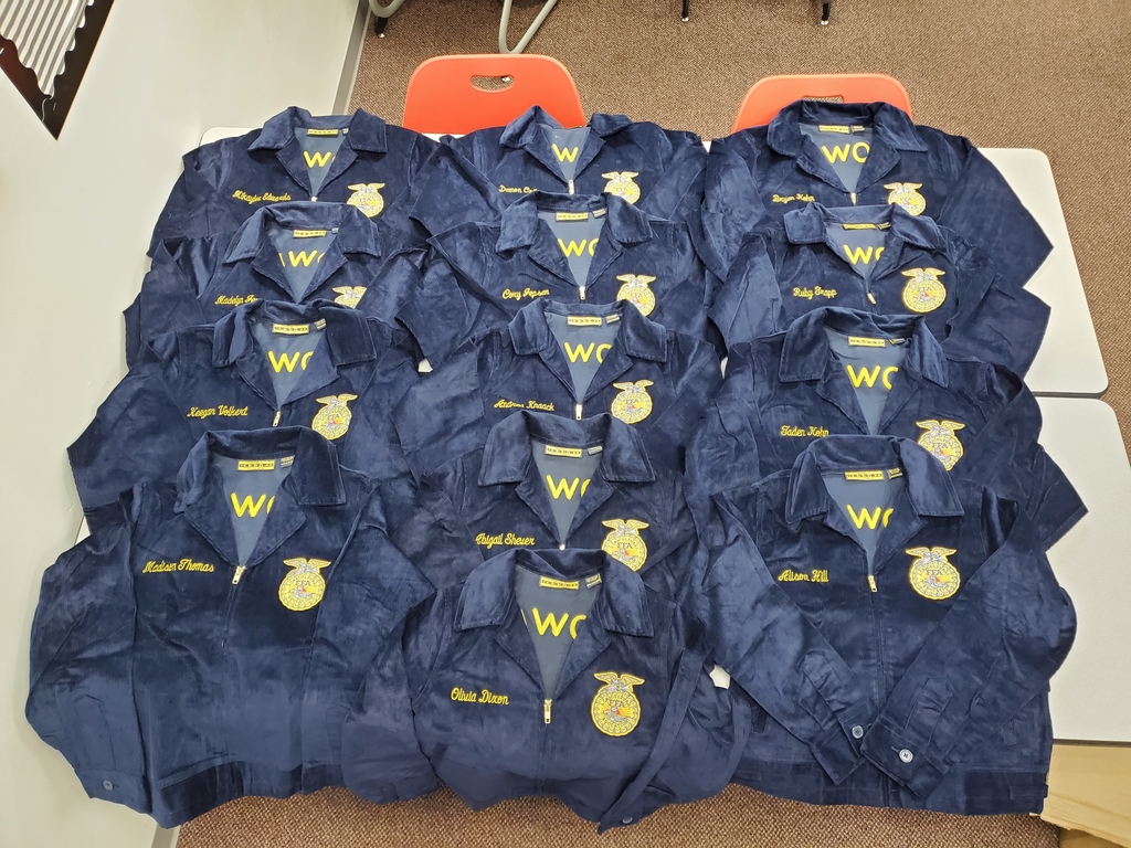 13 new members