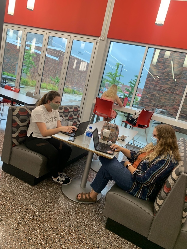 students working on college classes 