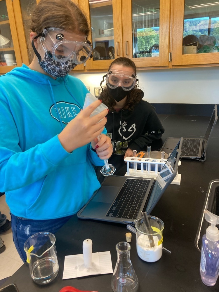 lab